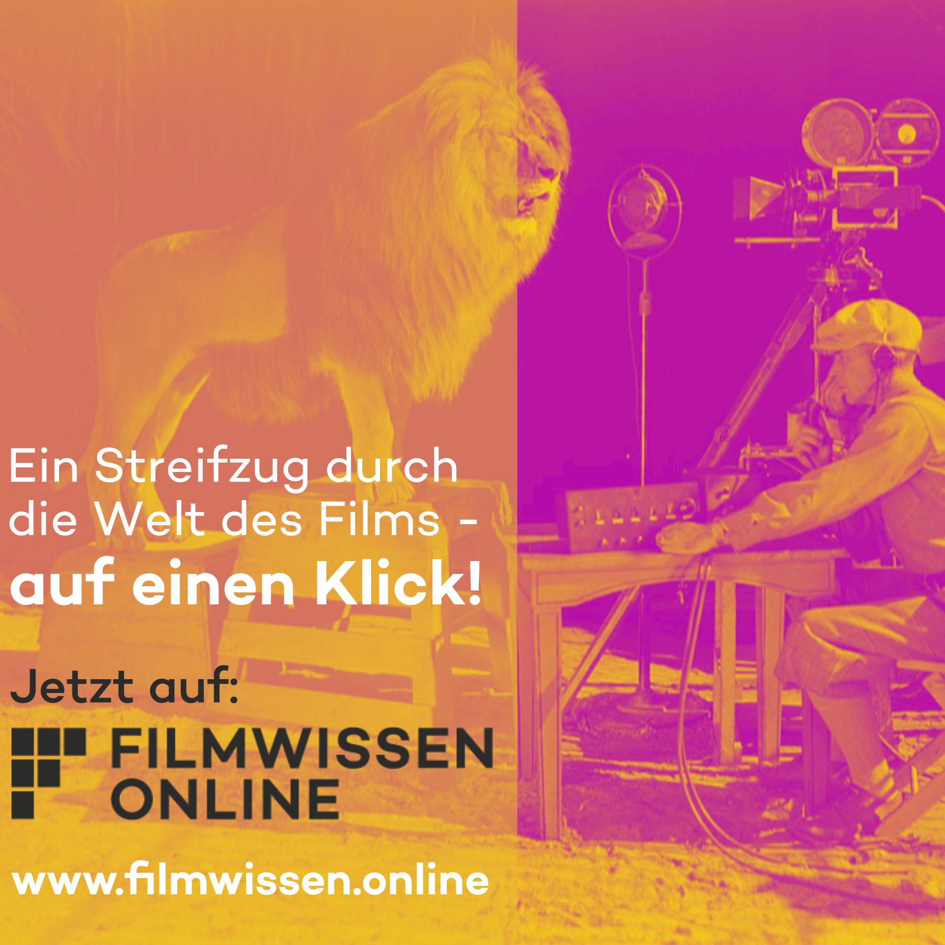 Filmwissen Online